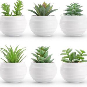 Set of 6 Succulents Plants Artificial in Pots Small Fake Plants for Bedroom Aest